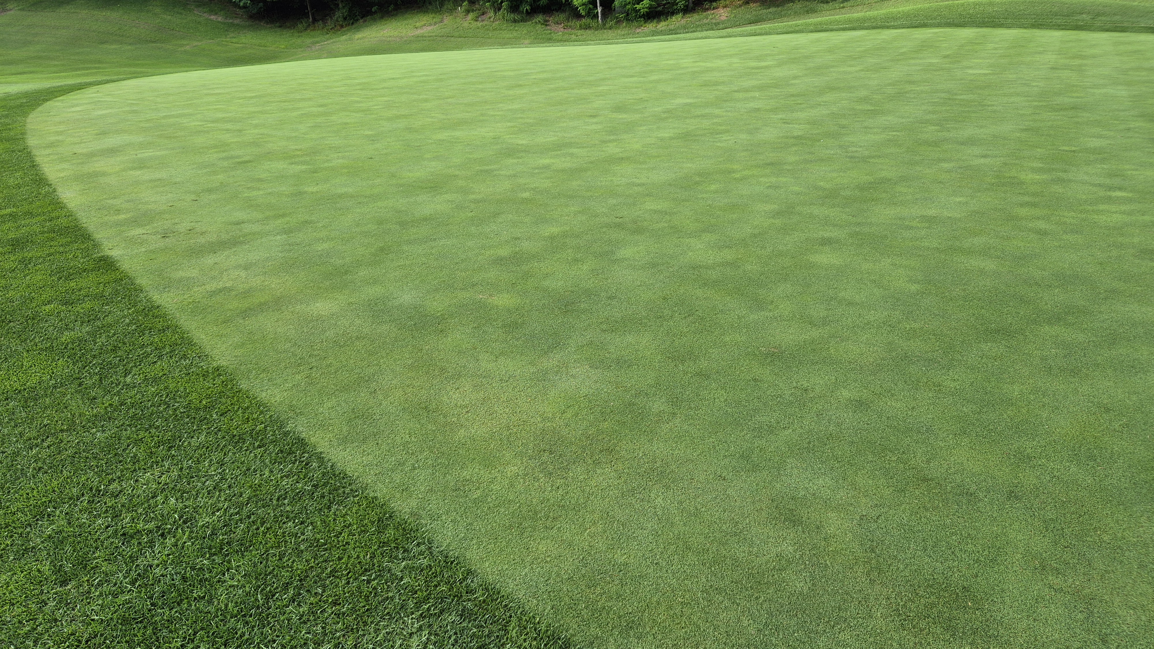 한성cc 오렌지-그린 코스 라운드 후기