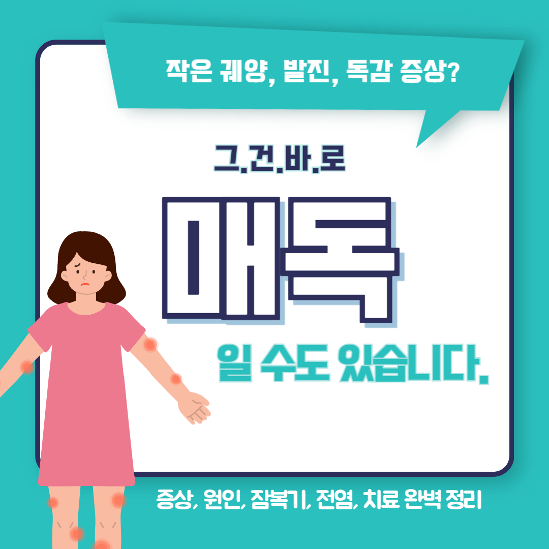 매독 증상 원인 잠복기 전염 치료까지! 완벽 정리 🔥