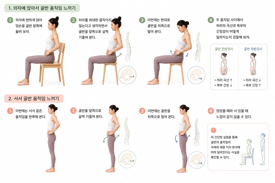 골반은 정말 중립으로 고정해야 할까? 요가 해부학으로 전방경사와 후방경사를 이해하는 방법