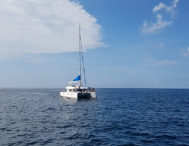 제주도-배-타고-가는-방법