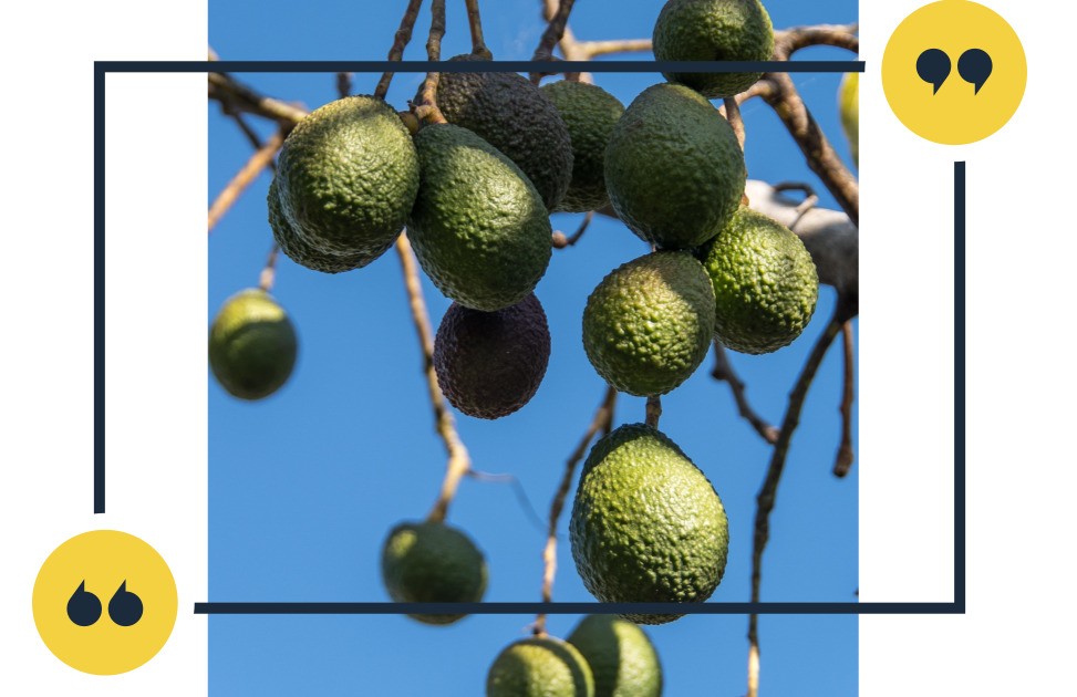 당뇨에 좋은 음식