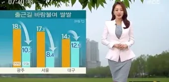 우박 예보 차량 보호 담요 준비 주차 위치 팁_3