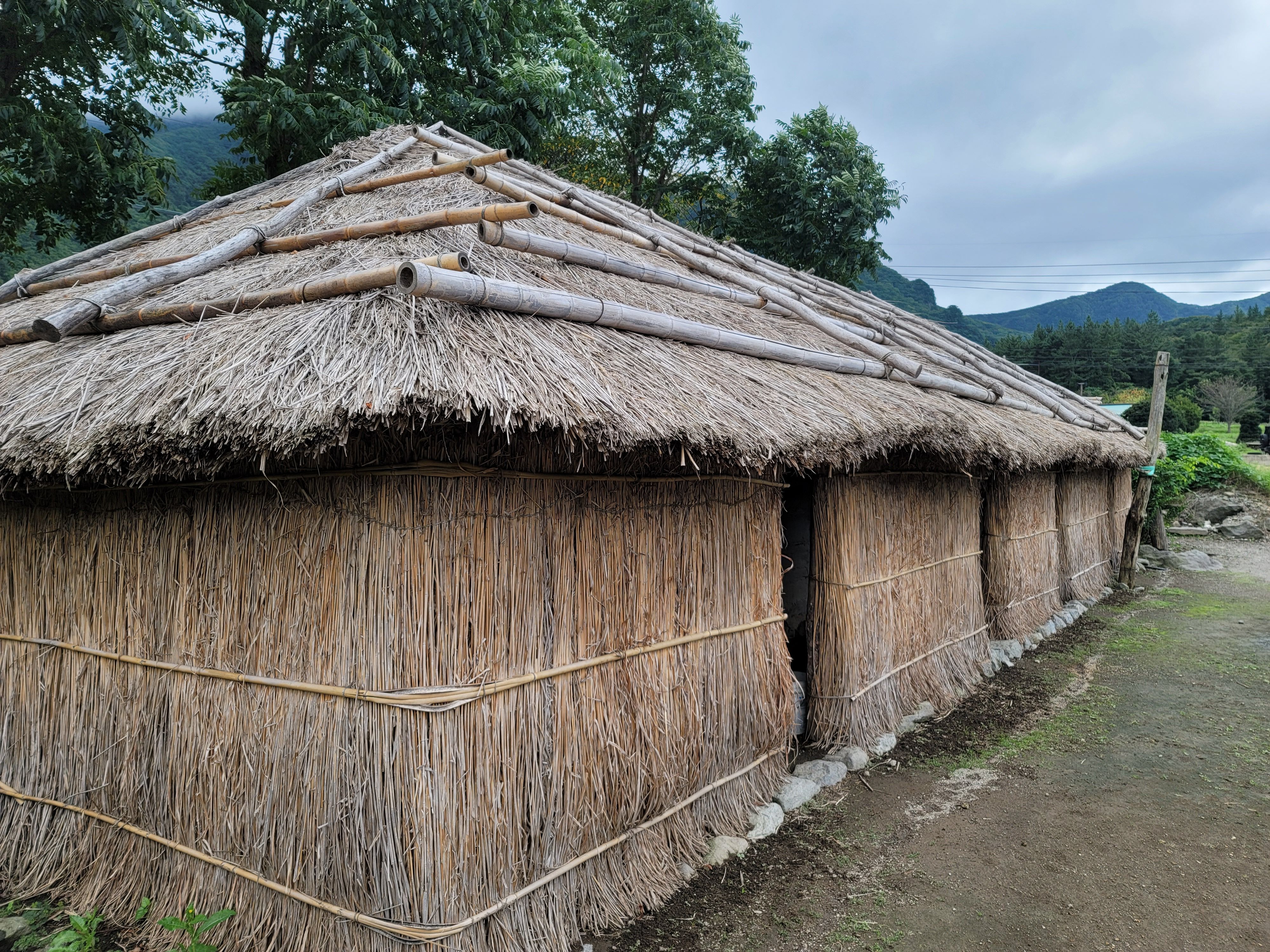 나리분지 맛집 식당&amp;#44; 주차장 숙박 가볼만한곳 총정리