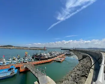 서천 동백꽃 주꾸미 축제_2