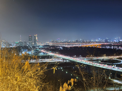 산 위에서 바라본 서울의 야경, 도로가 마치 롤러코스터처럼 펼쳐져있고 차와 건물 불빛에 의해 반짝반짝하다.