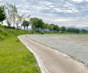 진천 이팝나무길 신정교 주차