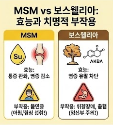 MSM 보스웰리아