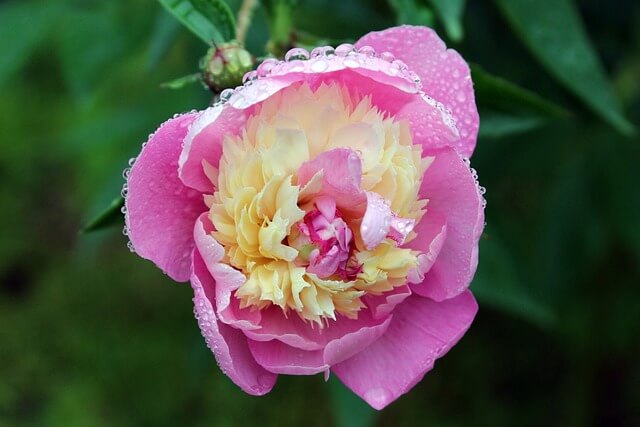 콘서트 진주 M2 라인업