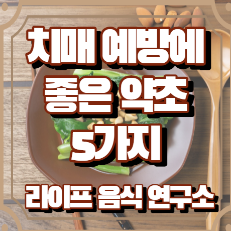 치매 예방에 좋은 약초 5가지