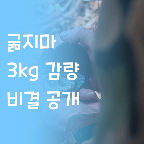 다이어트 유산균, 굶지 않고 살 빼는..
