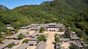 여름에 걷기 좋은 숲길 10