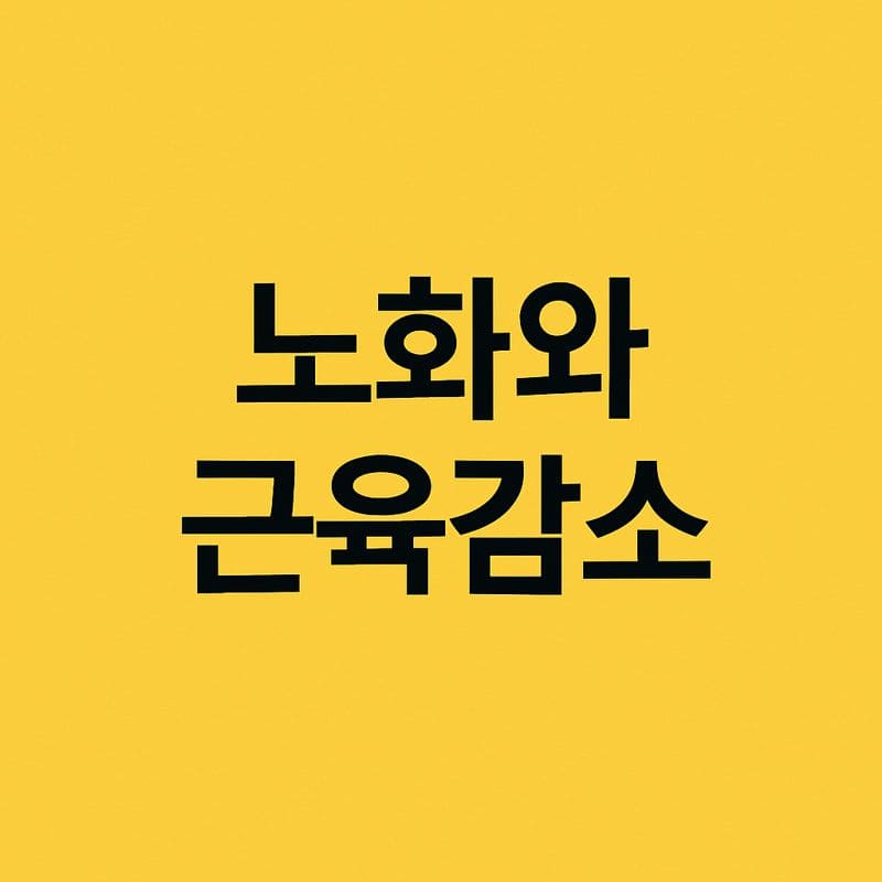 60대를 위한 근육 유지 루틴과 실천 전략