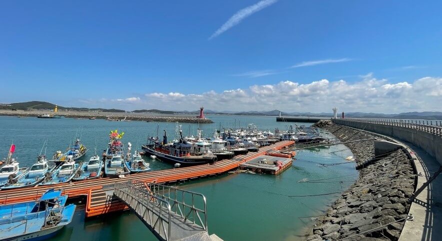 2023 서천동백꽃주꾸미축제