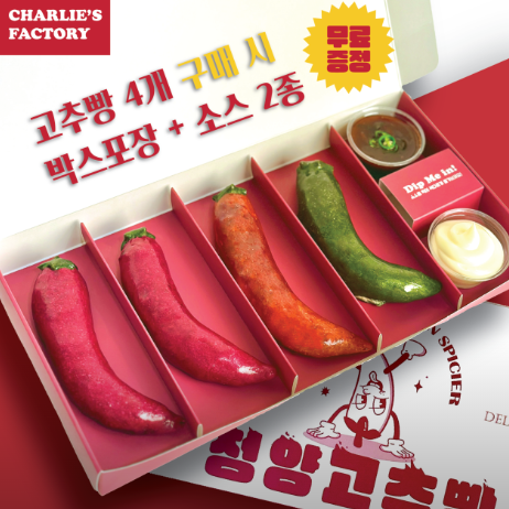 생방송투데이 고추빵 청양