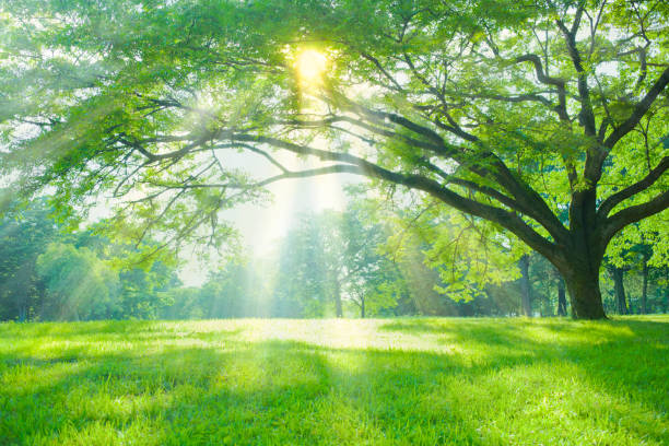 부자들의 돈에 대한 믿음, 나와 무엇이 다른가