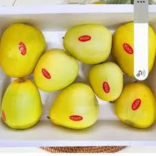 망고참외 관련 사진