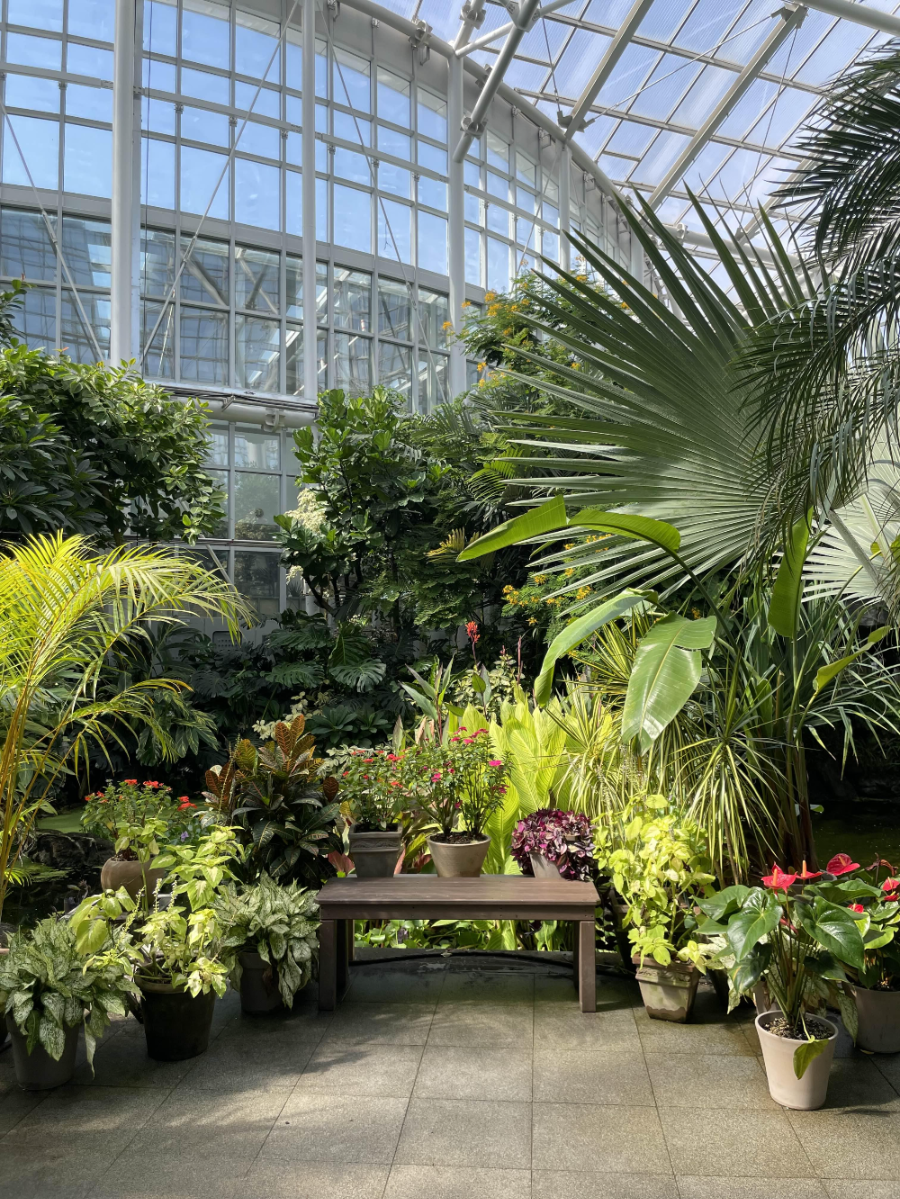 국립 세종수목원 사계절 전시온실 열대식물전시원