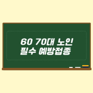 60 70대 노인 필수 예방접종