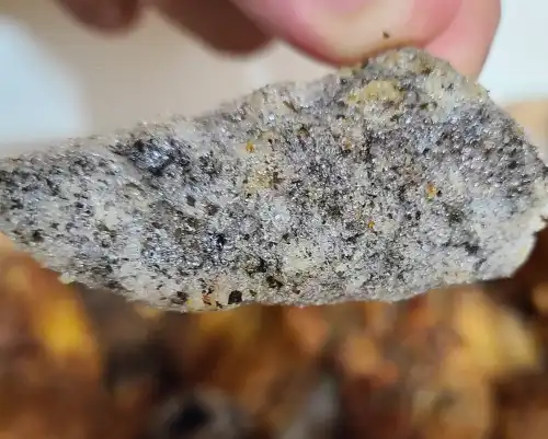 김미바삭-김부각-근접