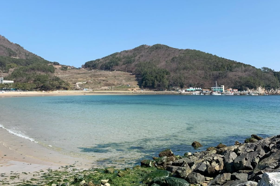 국내 해수욕장 개장일