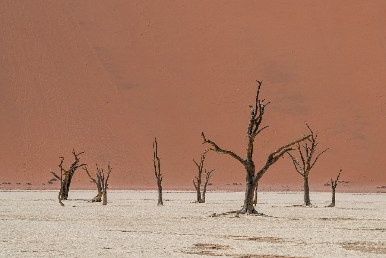 올 여름 역대급 더위 예상 이른 더위 온다&amp;#44; 해수면온도 상승&amp;#44; 지구온난화 영향