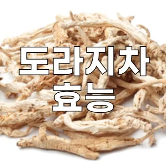 도라지차 효능 부작용 기관지를 위한 자연의 선물 건강차_14