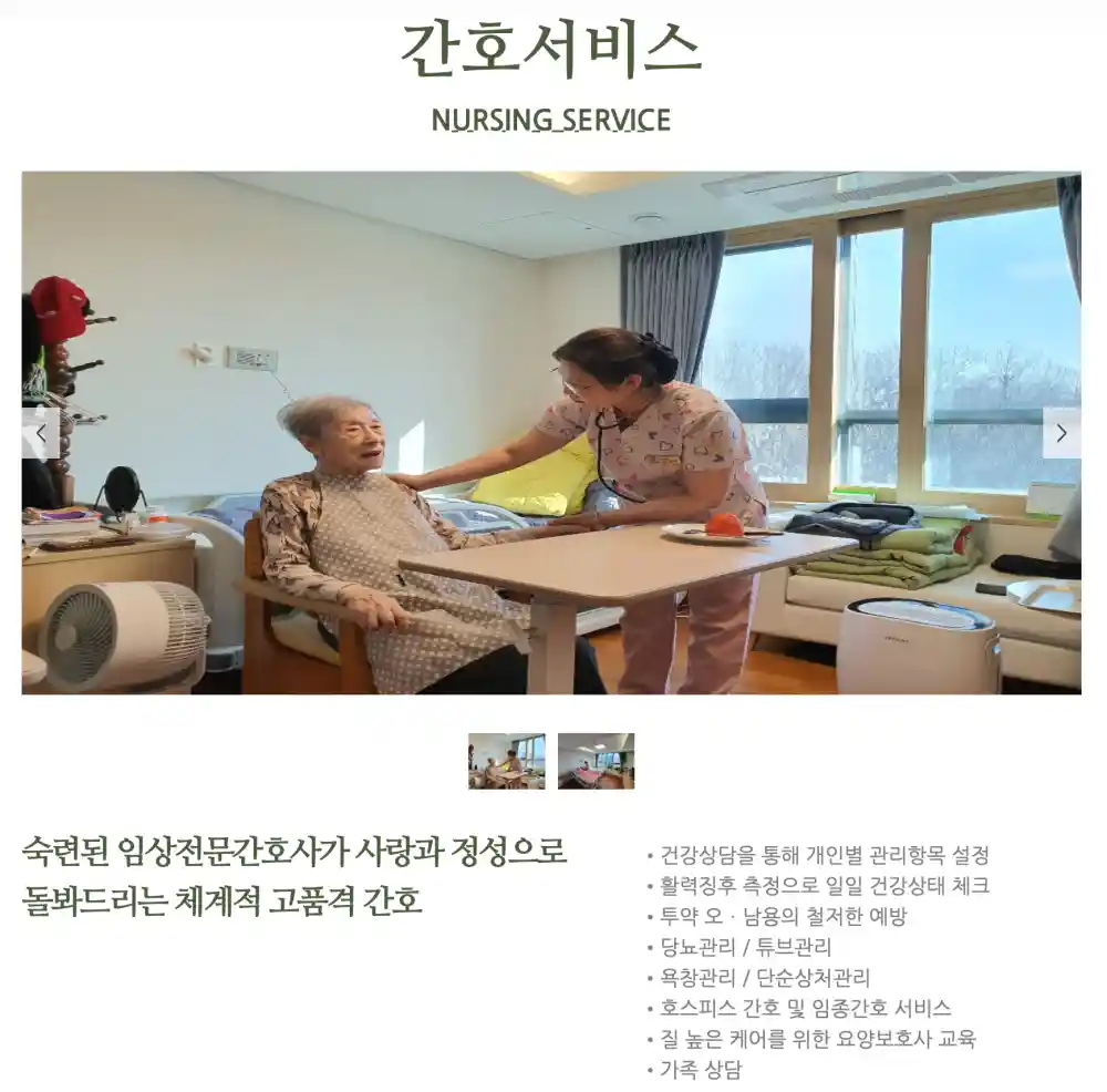 서비스 안내