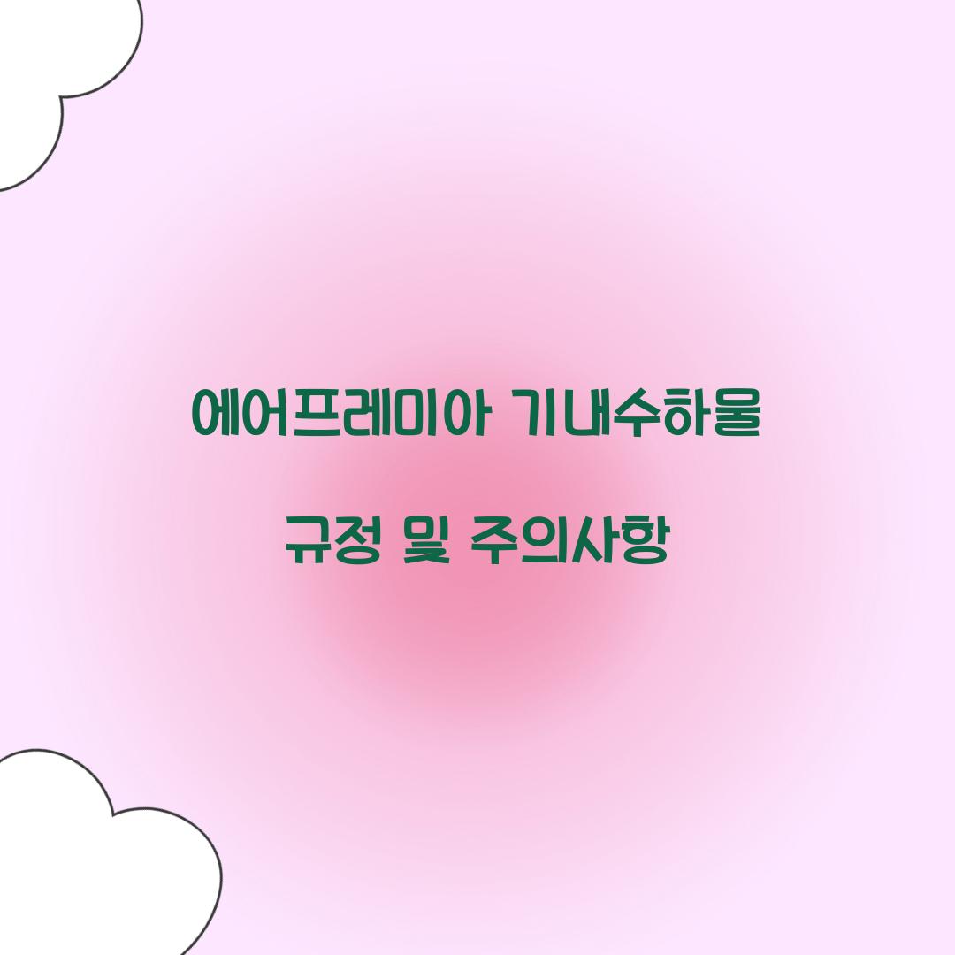 에어프레미아 기내수하물