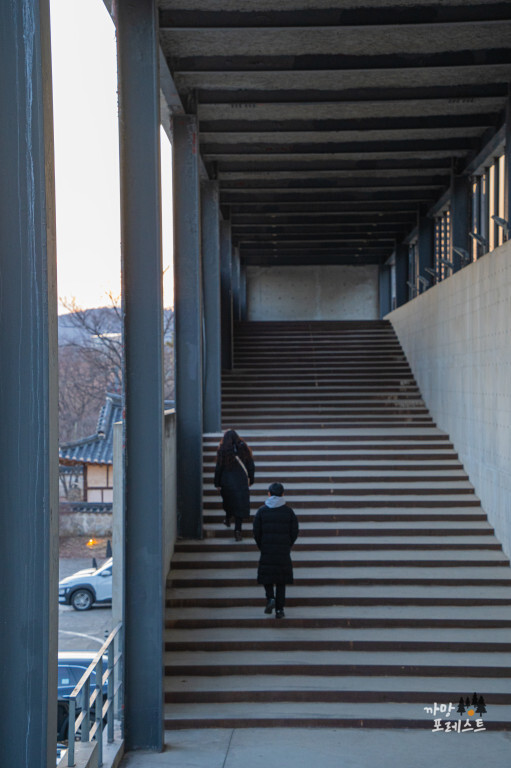 파주 지혜의 숲 산책