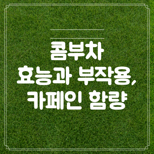 콤부차 효능과 부작용, 카페인 함량