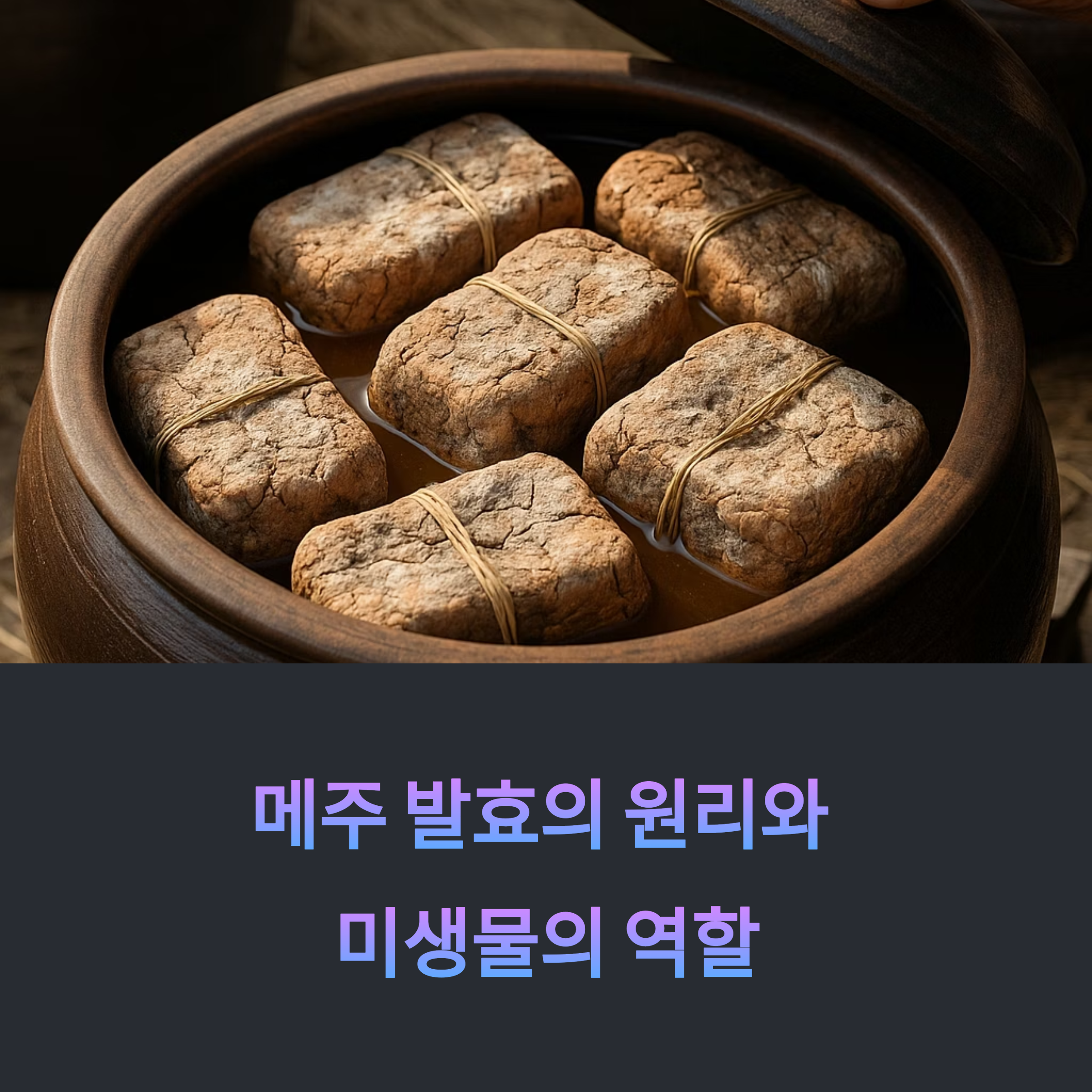 메주 발효의 원리와 미생물의 역할