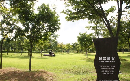 서울 단풍 명소 베스트 6