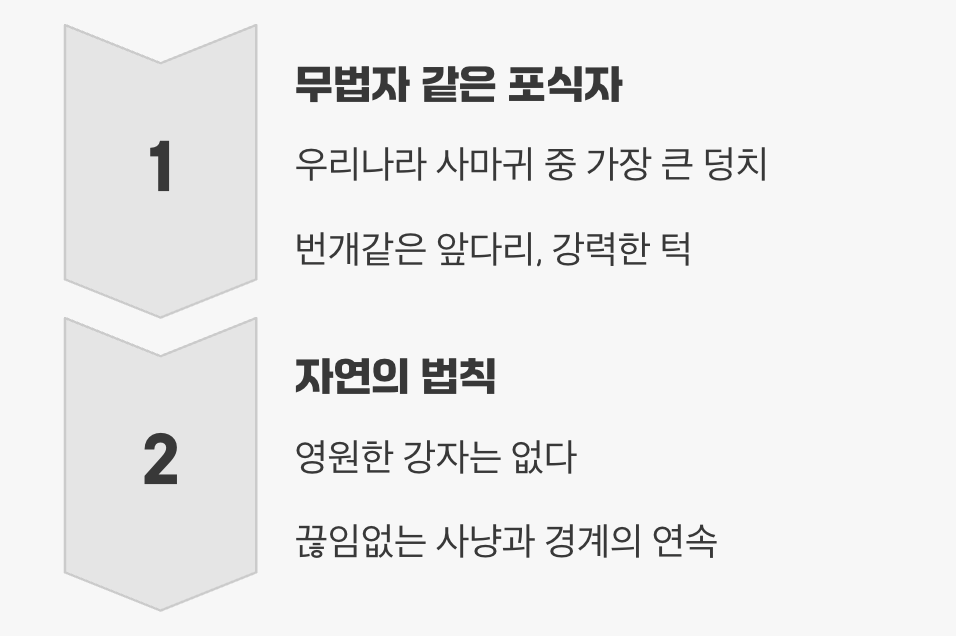 풀밭의 제왕, 그러나...