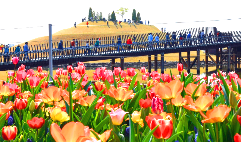 순천만국가정원