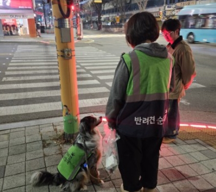 2025년 반려견 순찰대 추가 모집!
