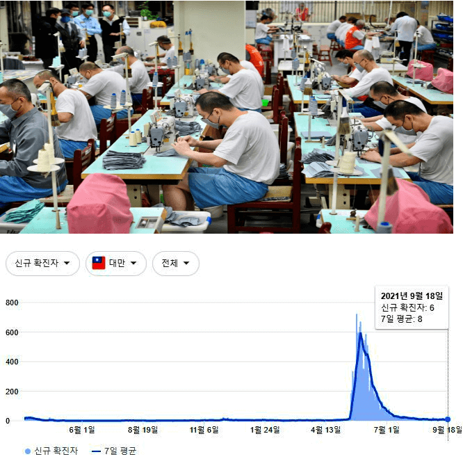 대만 코로나 현황