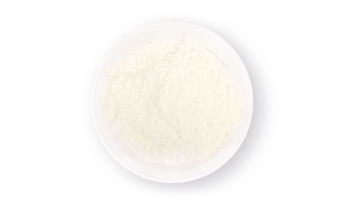 산양유 단백질 분말