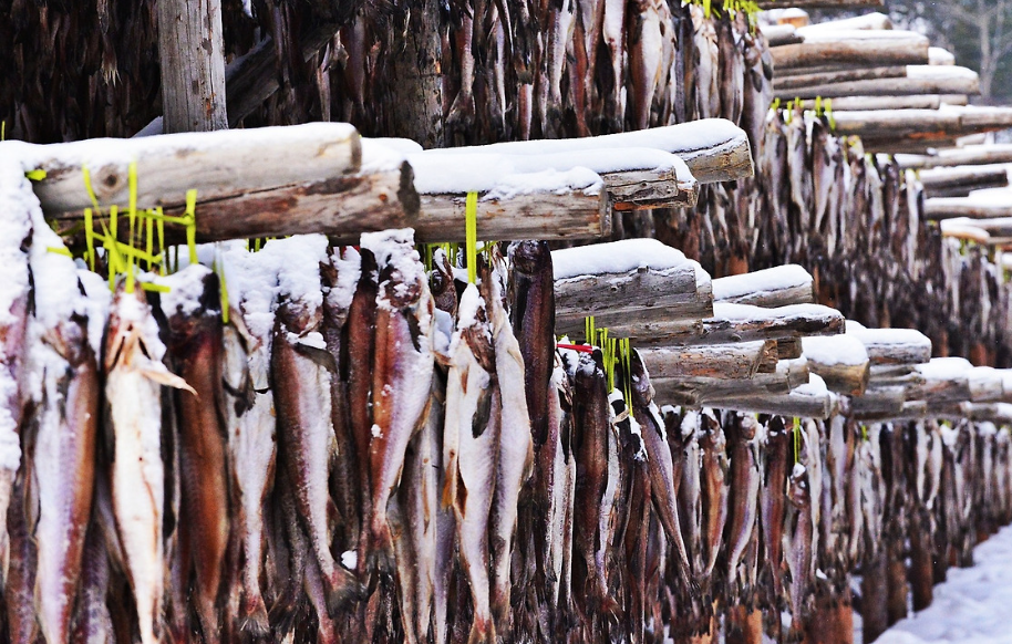 1월 제철 생선 명태