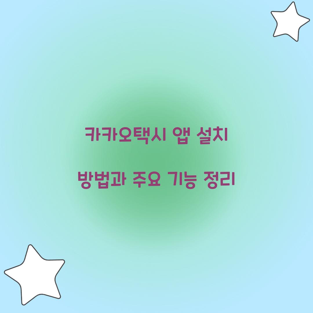 카카오택시 앱 설치