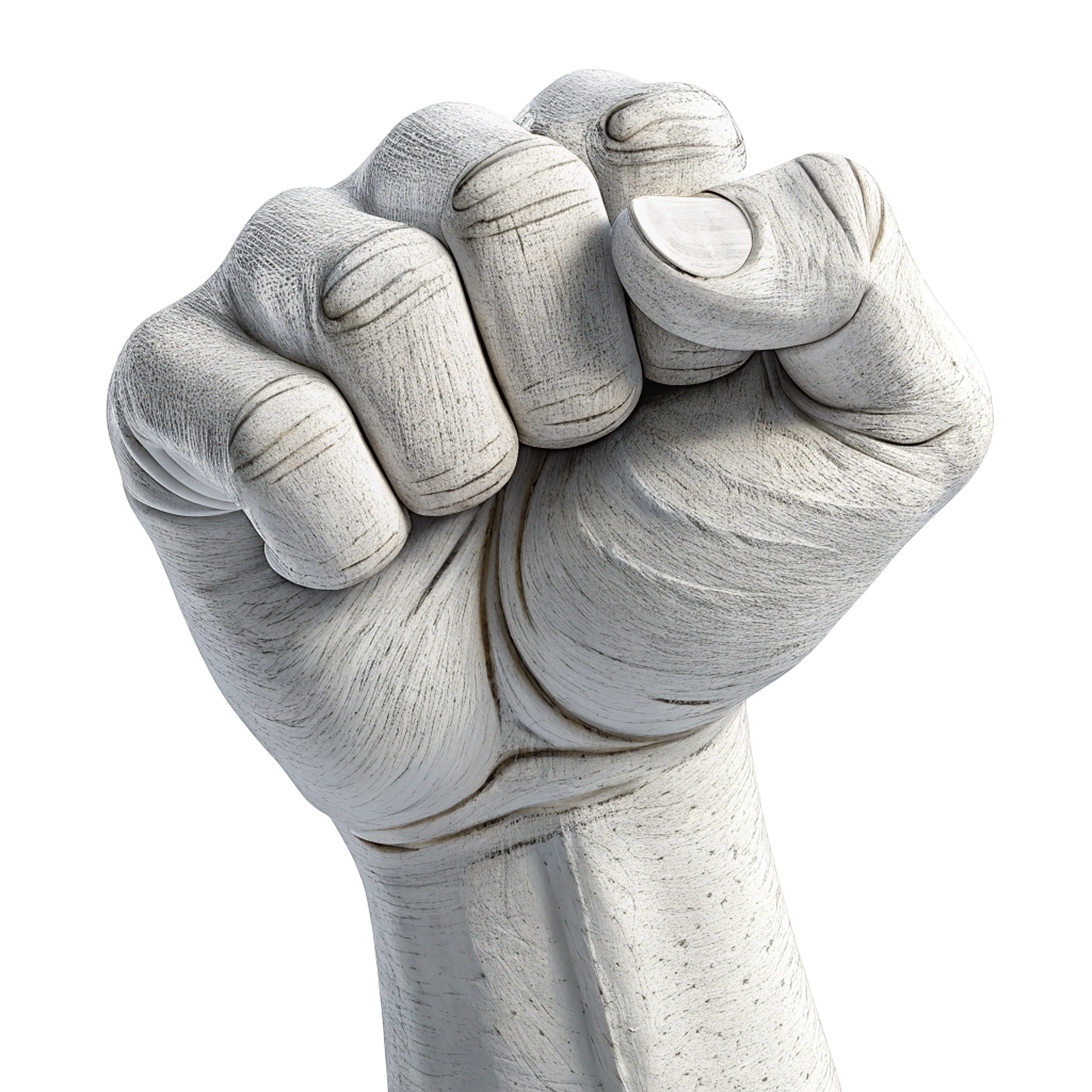 권력을 표현한 주먹 사진