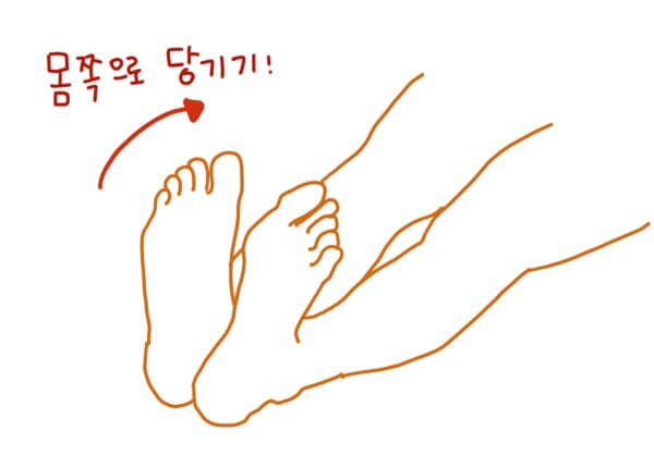 다리혈액순환에-좋은-운동-발끝뻗었다가-당기기