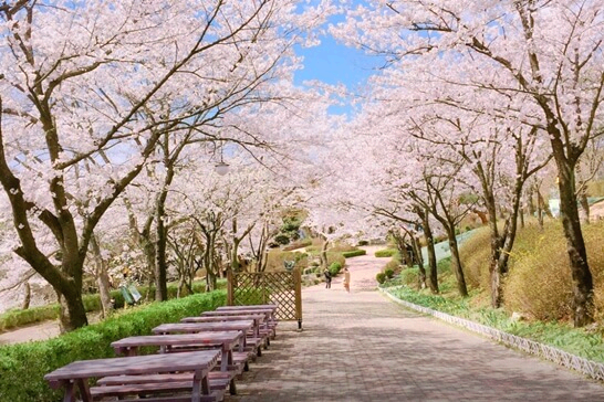 대전오월드-대전-주변-가볼만한곳-추천