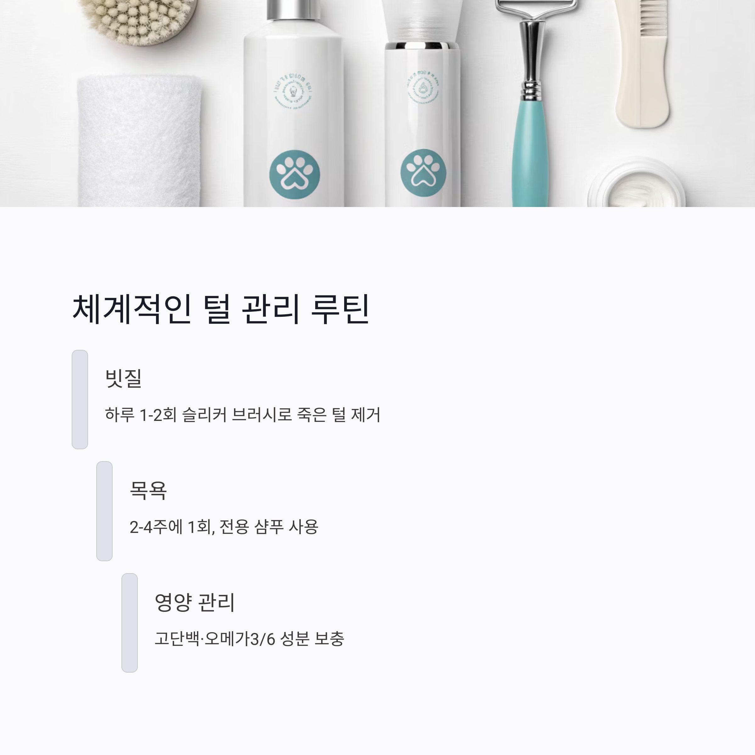 체계적인 털 관리 루틴