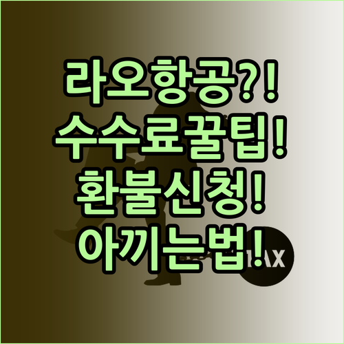 라오항공 취소 수수료 아끼는 팁과 환..