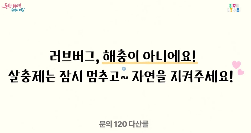 러브버그 퇴치 방법