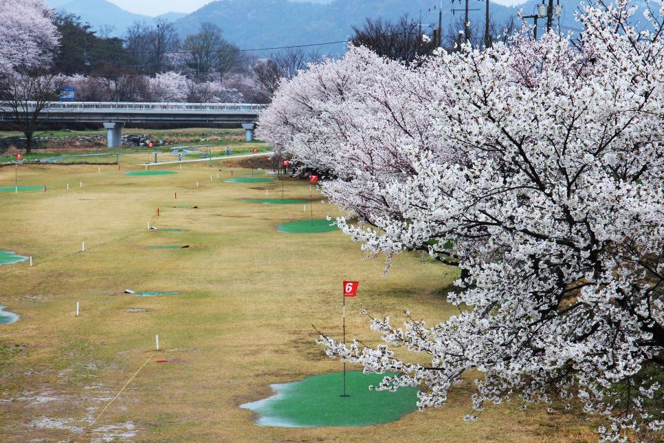 전라남도 곡성 오곡파크골프 소개