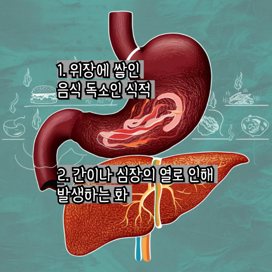 입맛이 쓴 어르신들을 위한 솔루션: 입 마름과 식욕 부진 극복하기