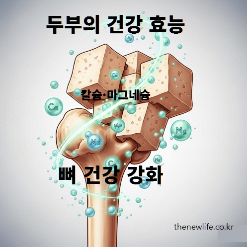 생두부에 풍부한 칼슘과 마그네슘이 뼈 건강을 강화하고 골다공증 예방에 도움이 되는 이미지