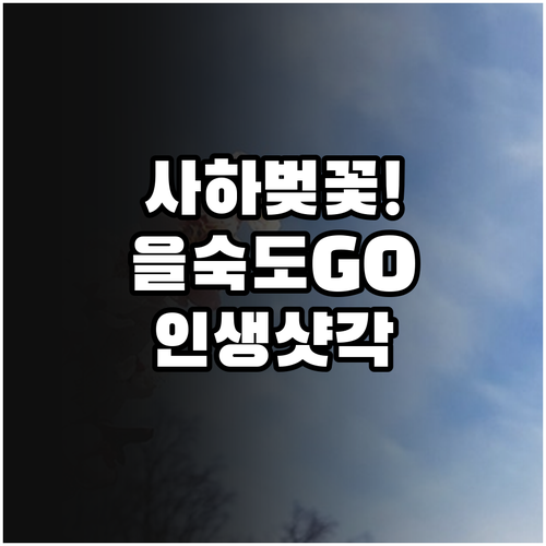 부산 사하구 벚꽃 축제 일정과 을숙도..
