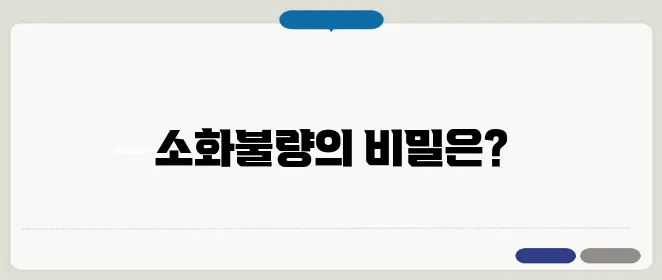 속이 메스껍고 토할 듯한 느낌 소화 불량 신호?